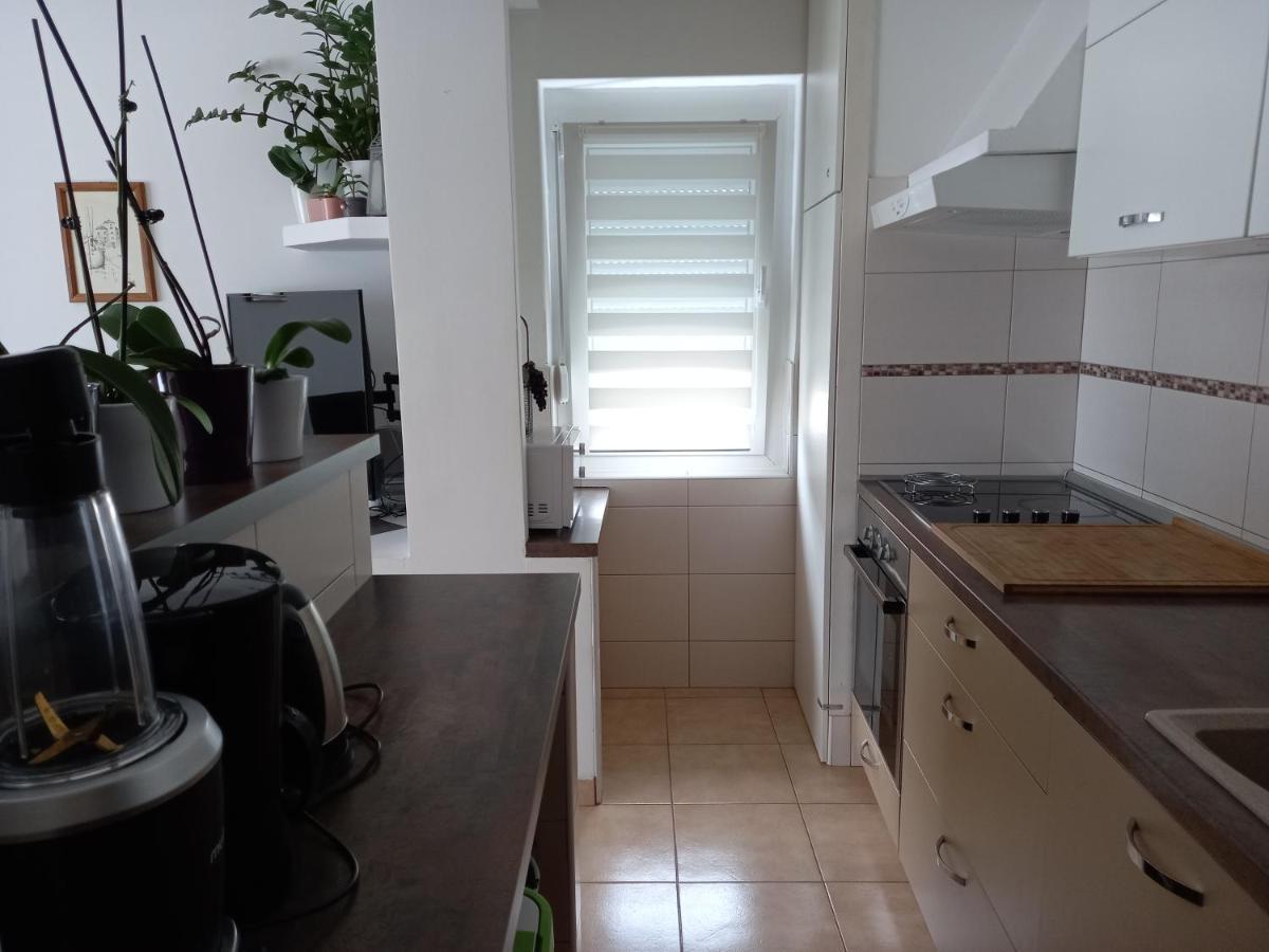 Apartments Anita Цриквениця Екстер'єр фото