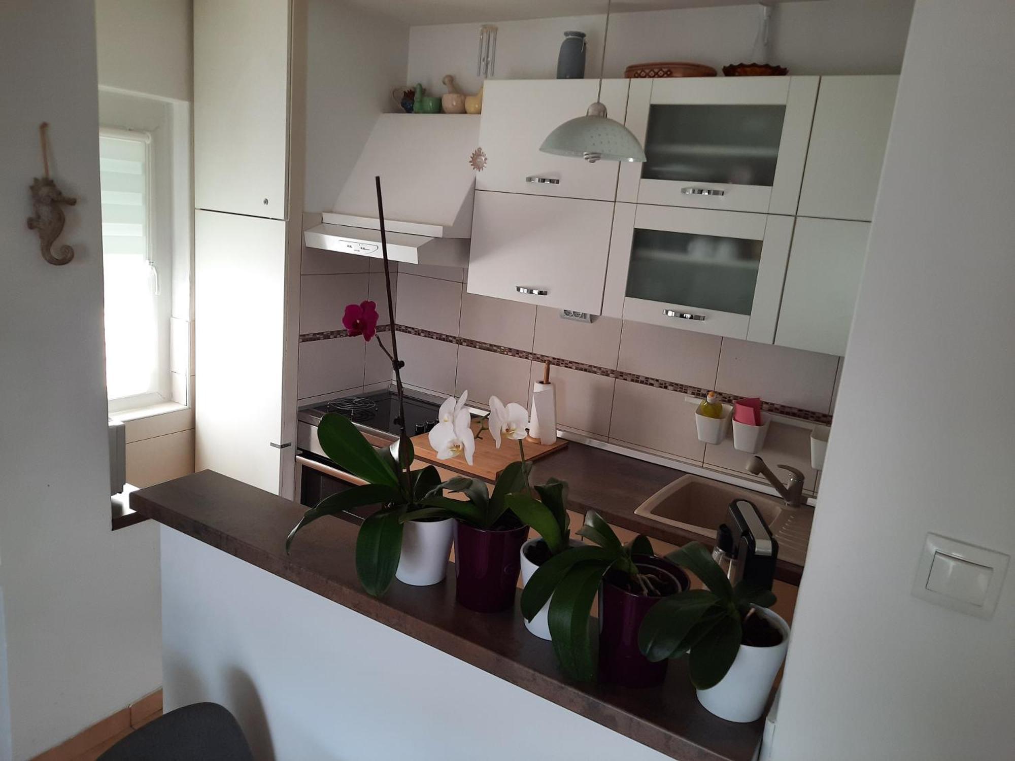 Apartments Anita Цриквениця Номер фото